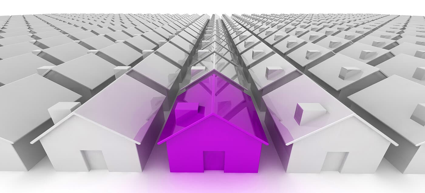 Purple House In A Field Of Grey Homes Purple House In A Field Of Grey Homes