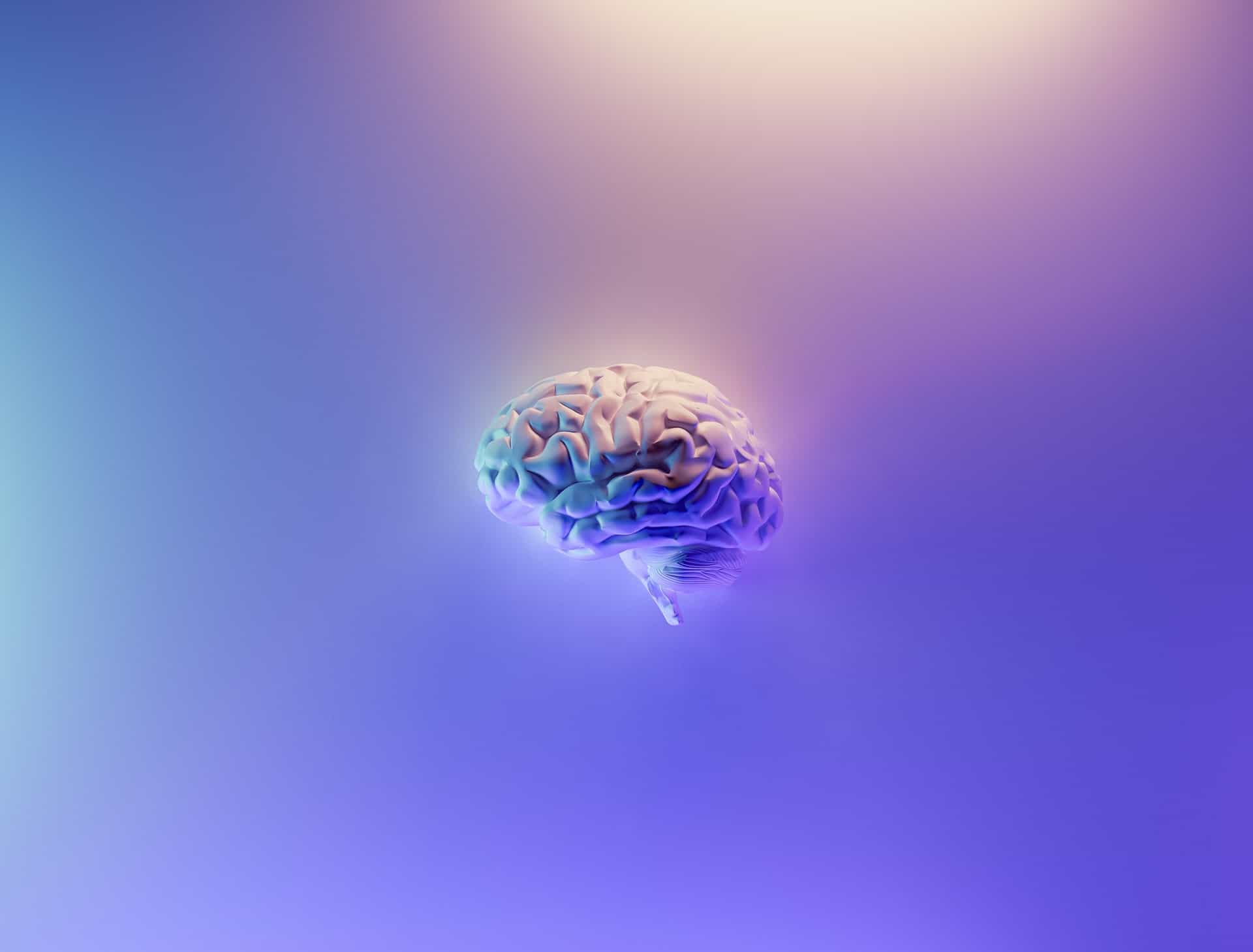 Brain Brain