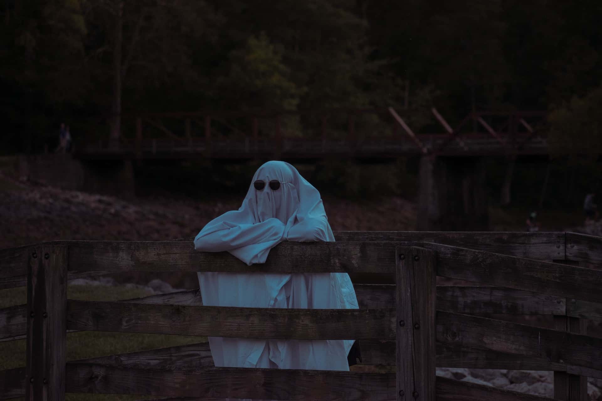 Ghost Spooky Fence Halloween Sunglasses Ghost Spooky Fence Halloween Sunglasses