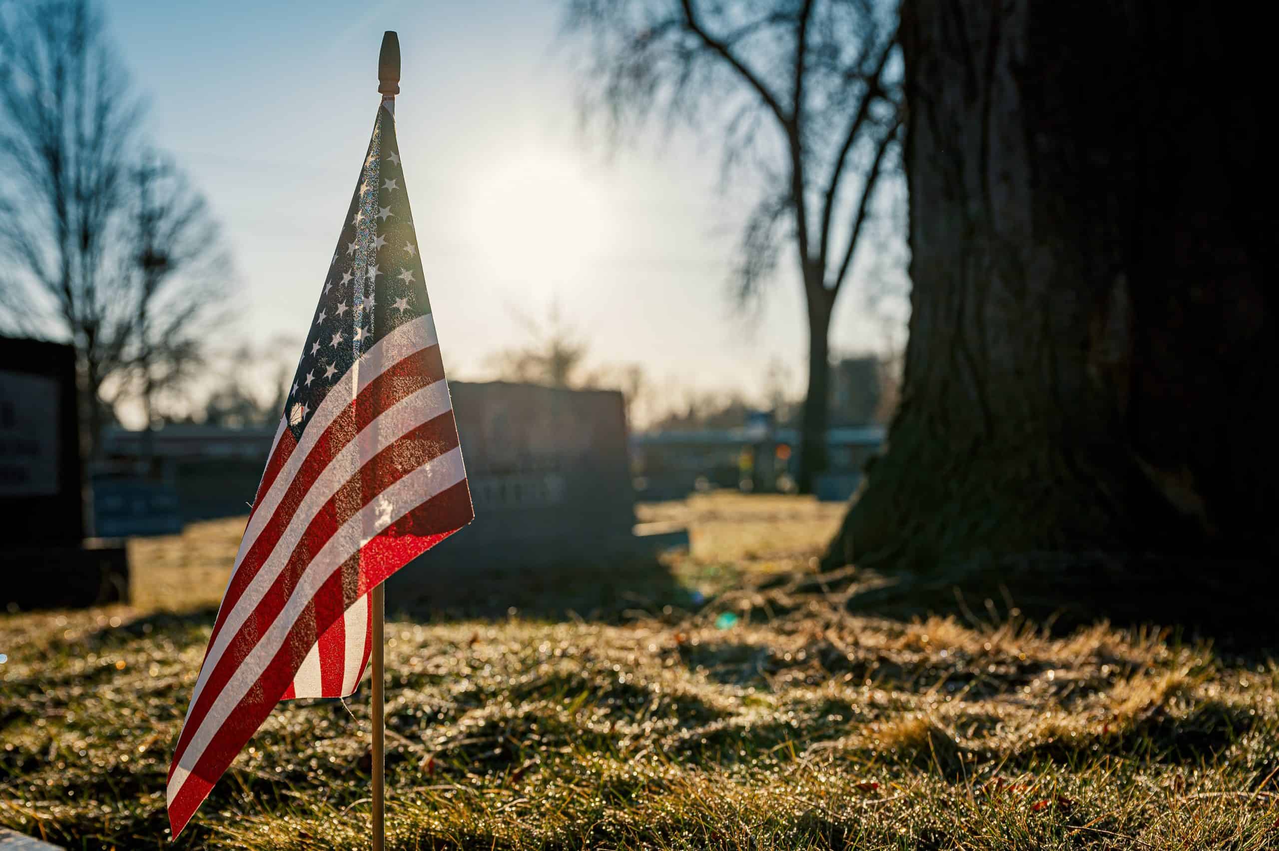 Flag Grave Vet flag grave vet