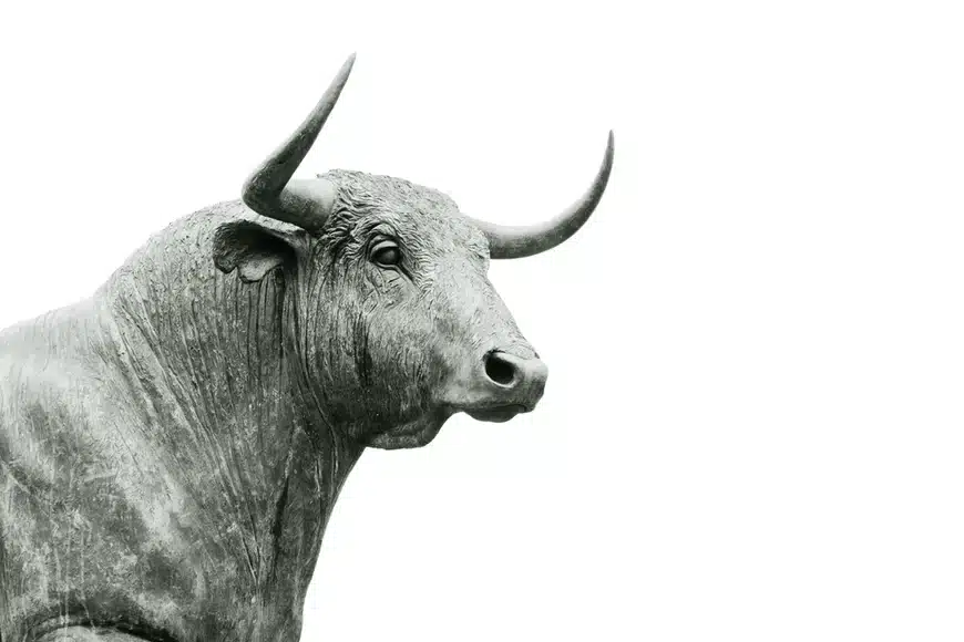 Bullish up positive