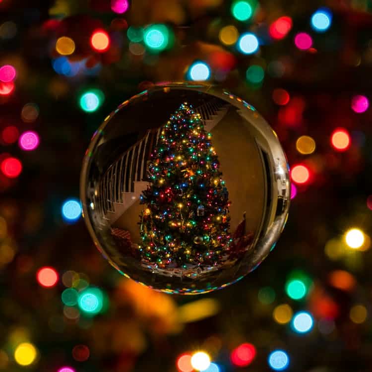 Christmas Tree home
