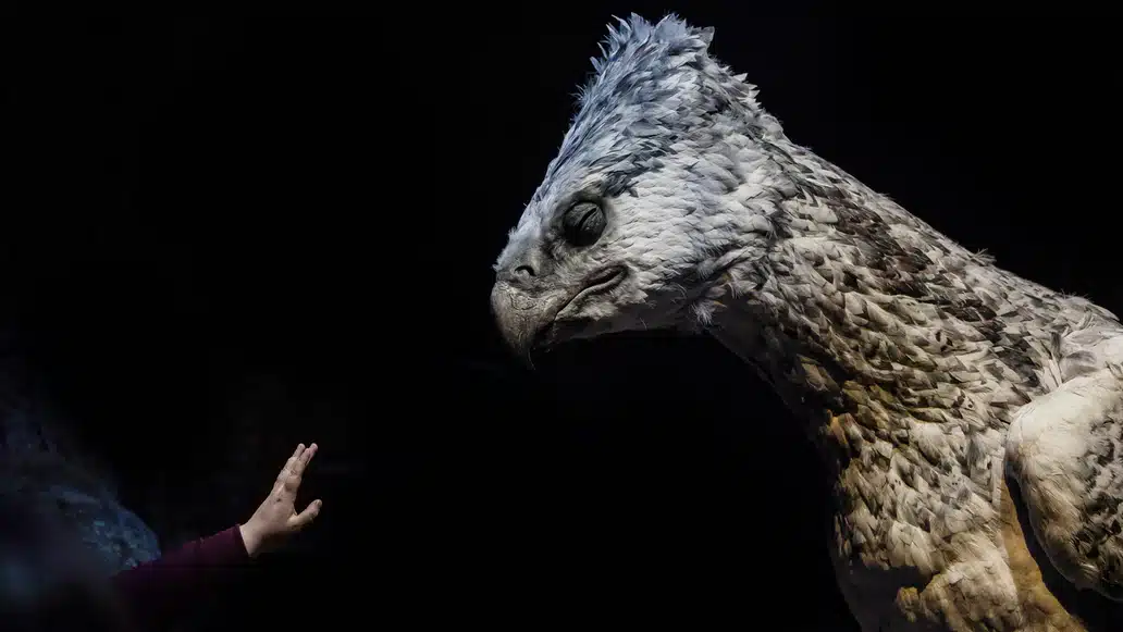 Myths gryffin impossible