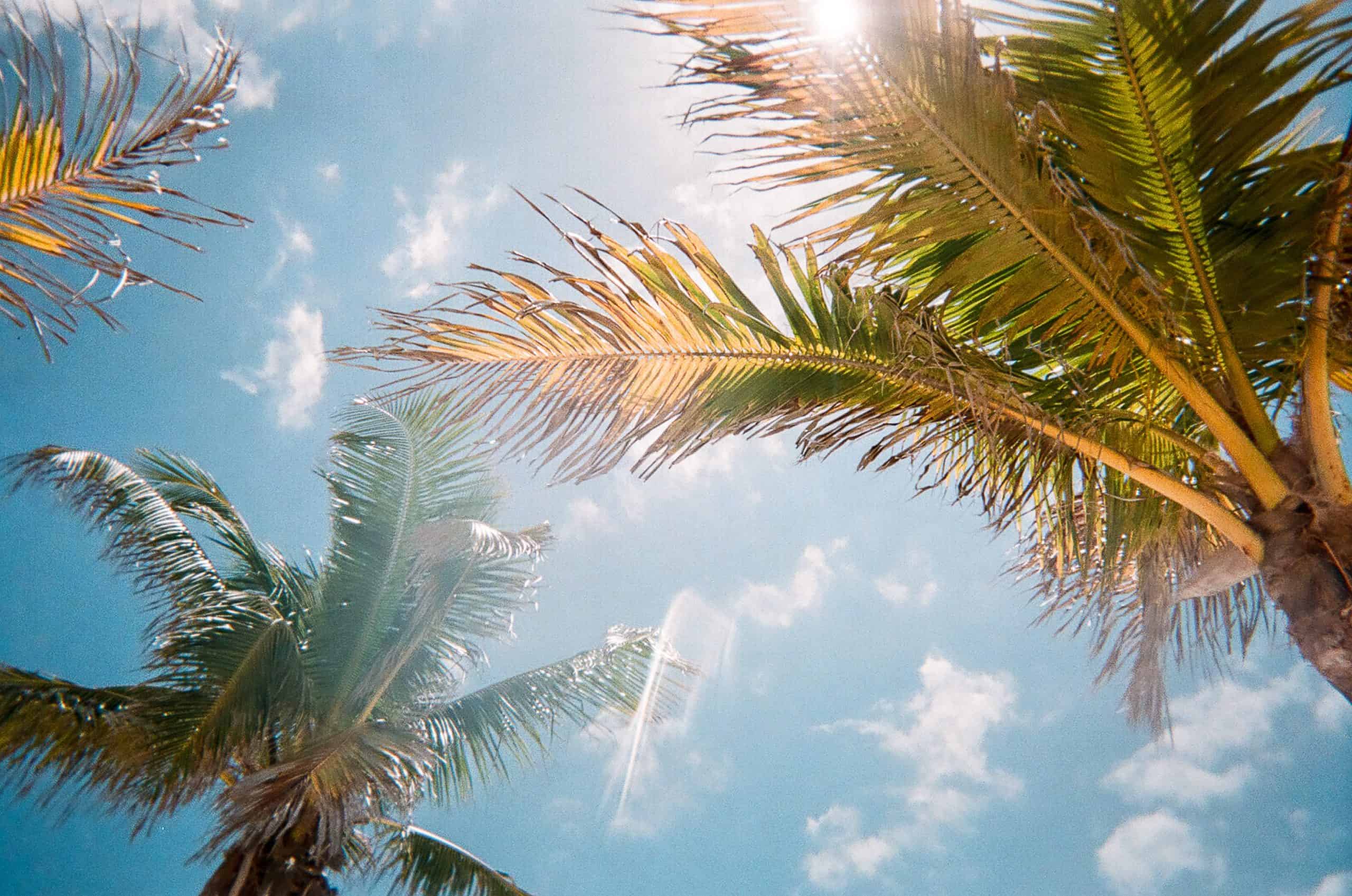florida beach florida beach