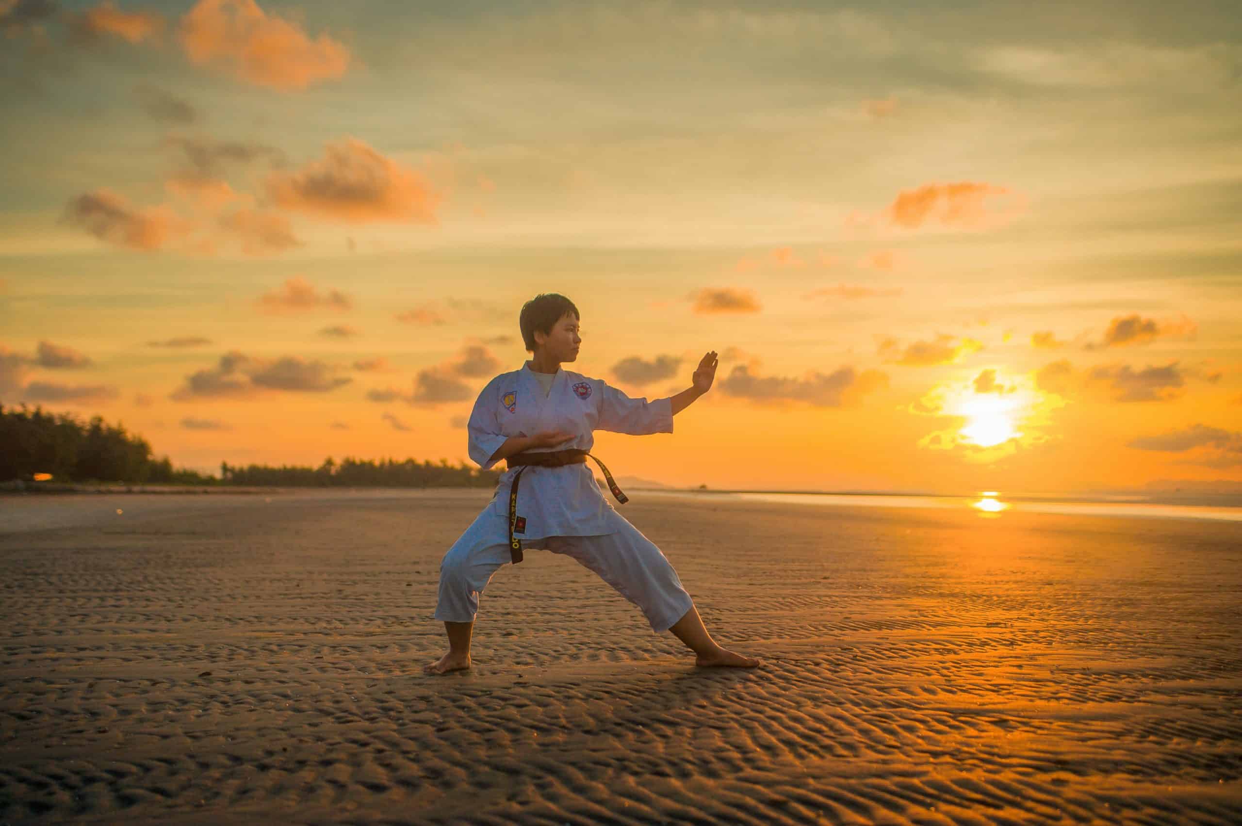 martial arts self defense martial arts self defense