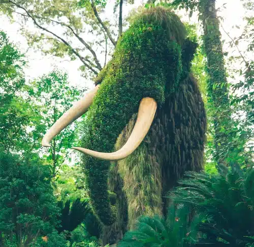 Mammoth fur forest