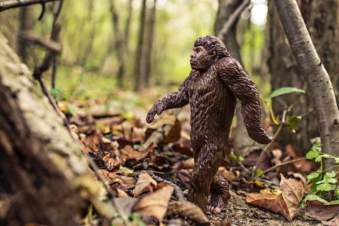Evolution bigfoot agent forest