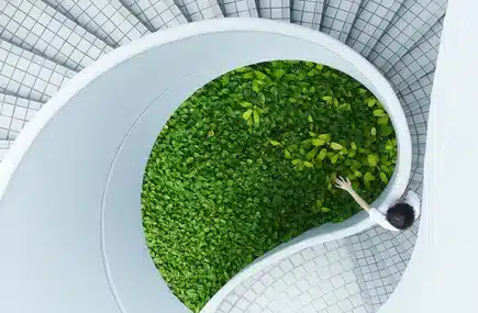 Green stairs person white