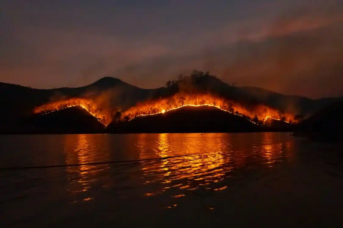forest fire water night