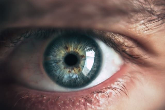 Eyeball Eye Focus Eyeball Eye Focus