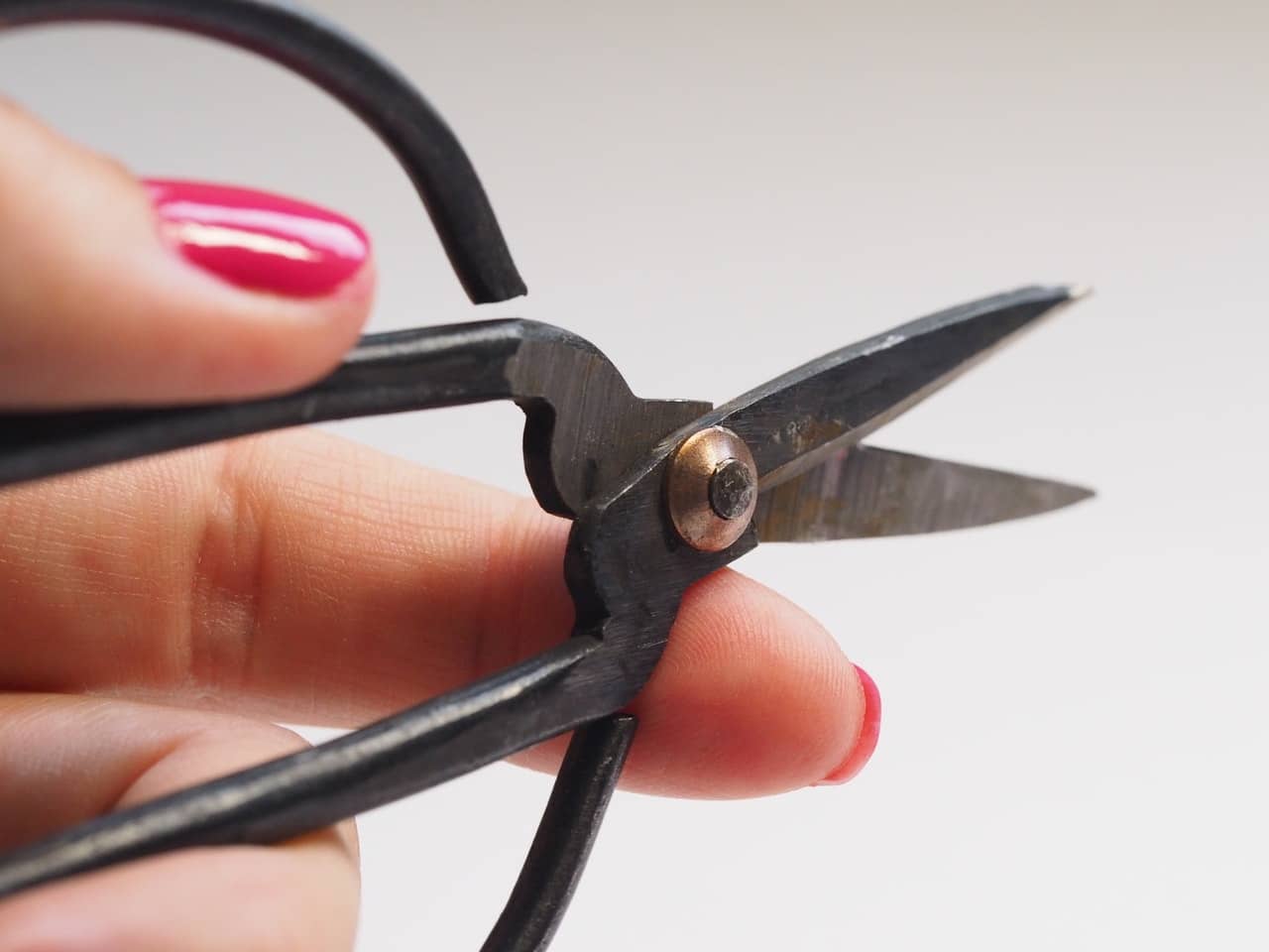 Scissors (2)