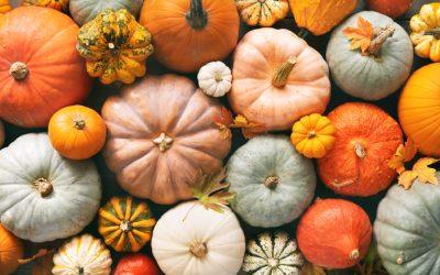 Is October a Good Time to Buy a House?