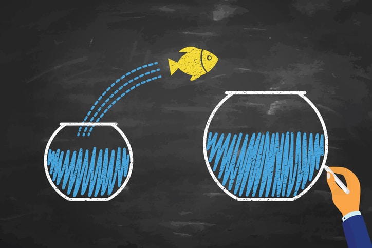 Goldfish jumping out of the water on blackboard background