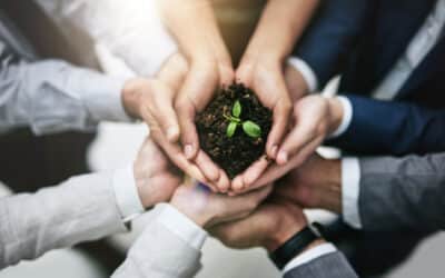 HOW TO GROW YOUR REAL ESTATE BROKERAGE IN 4 EASY STEPS