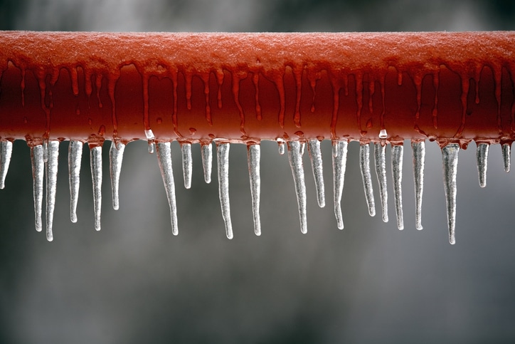 frozen bar
