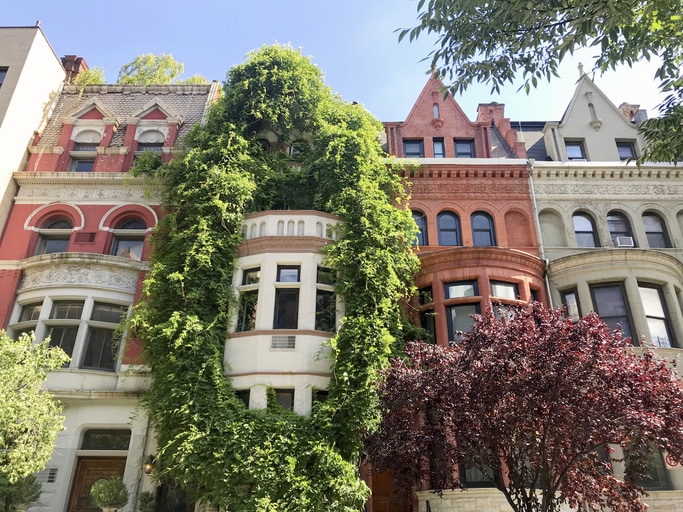 Beautiful NYC Brownstone Walk Ups