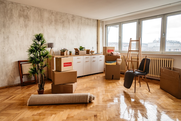 Moving boxes, potted plants and furniture in a new apartment