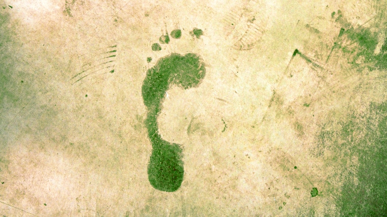 Green ecological footprint Carbon Neutral Reduce Footprint Green Initiative