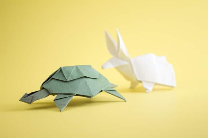 Tortoise and the Hare Spring Buying Season Off To A Slow Start Title And The Hare