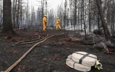 New Portal Helps Nova Scotia Residents Displaced by Wildfires