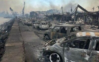 At Least 93 Dead, More Than 2,700 Properties Destroyed in Maui Wildfires