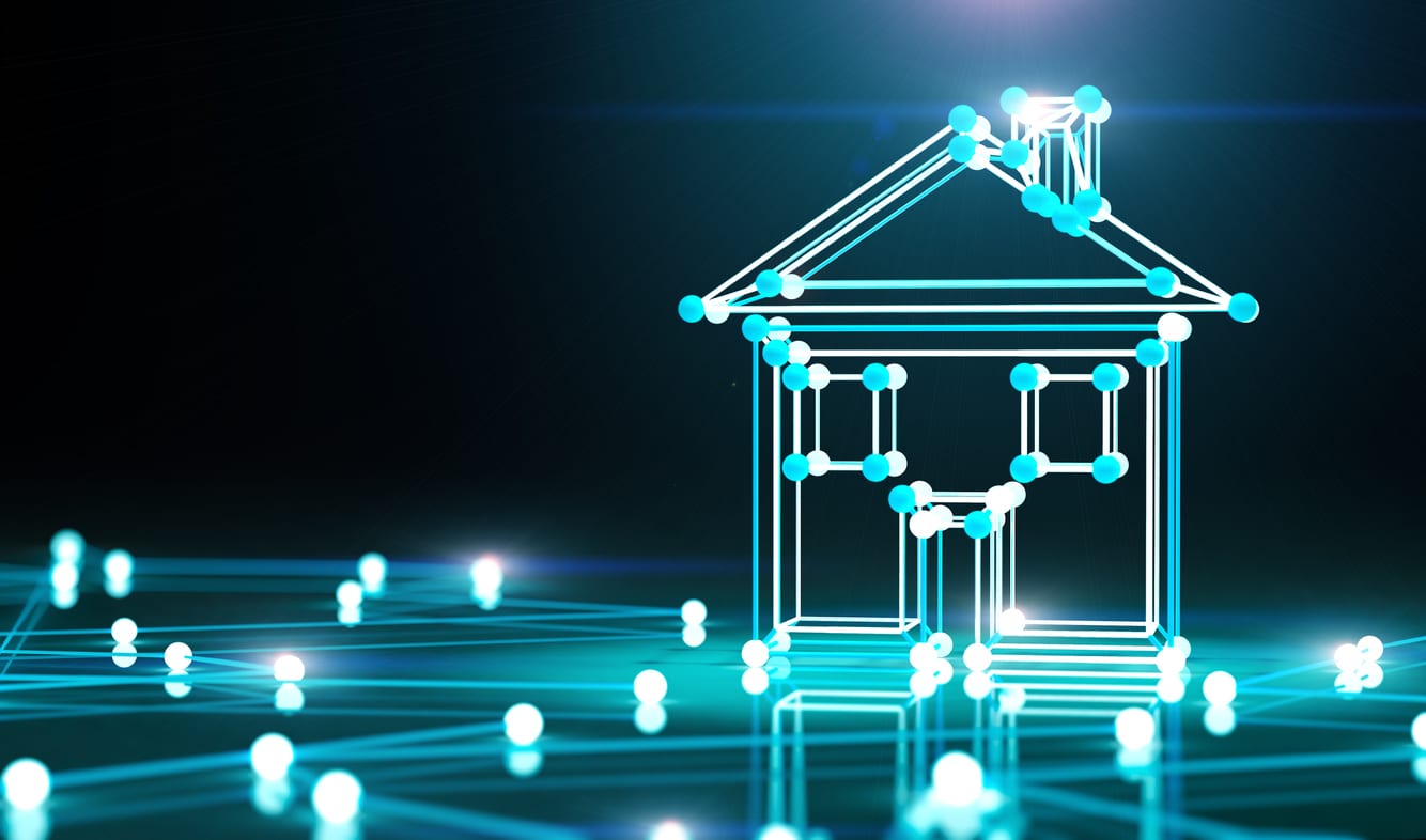 Smart house and net.3d illustration.