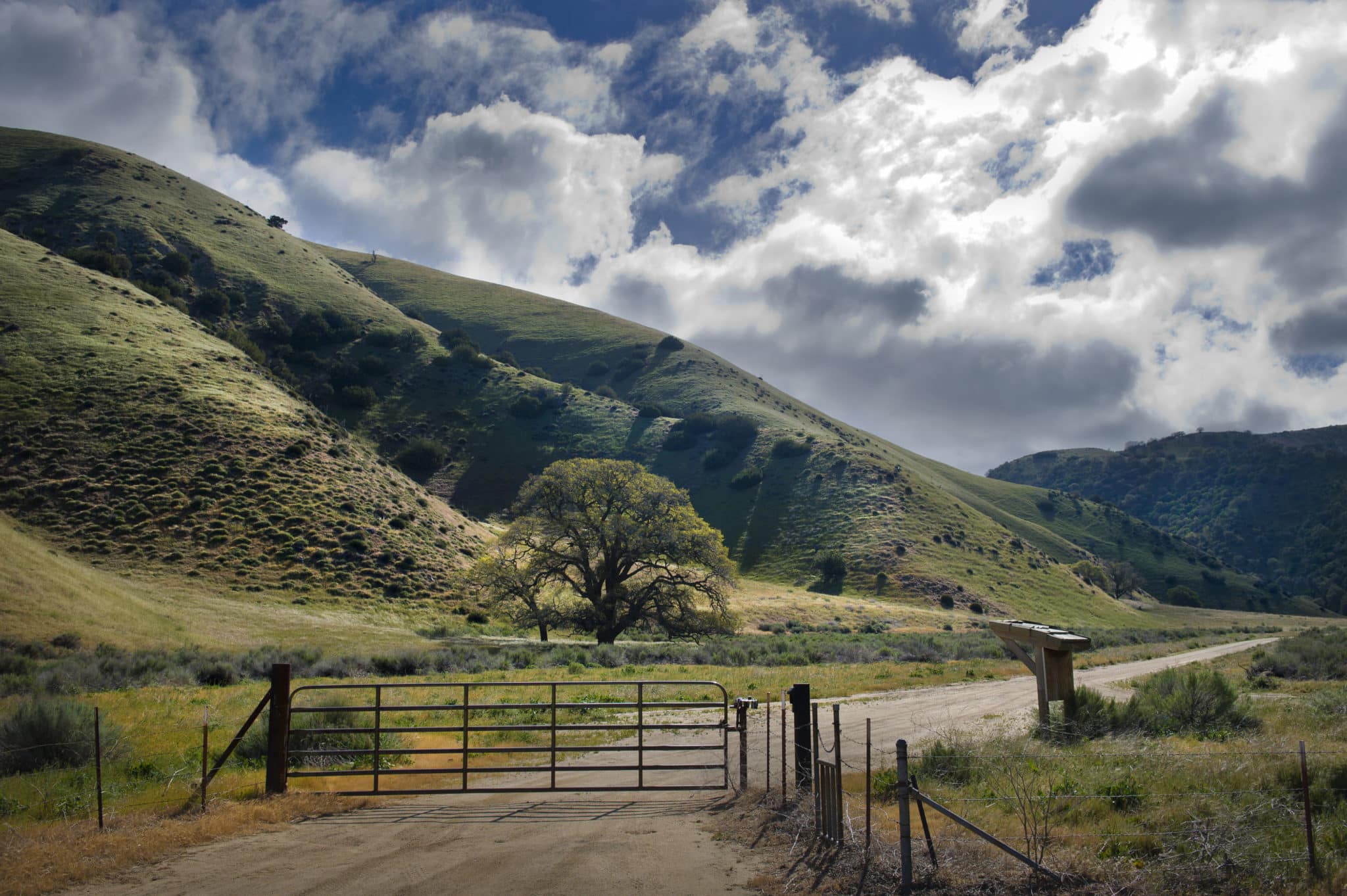 tejon ranch