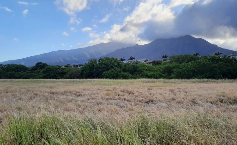 maui county