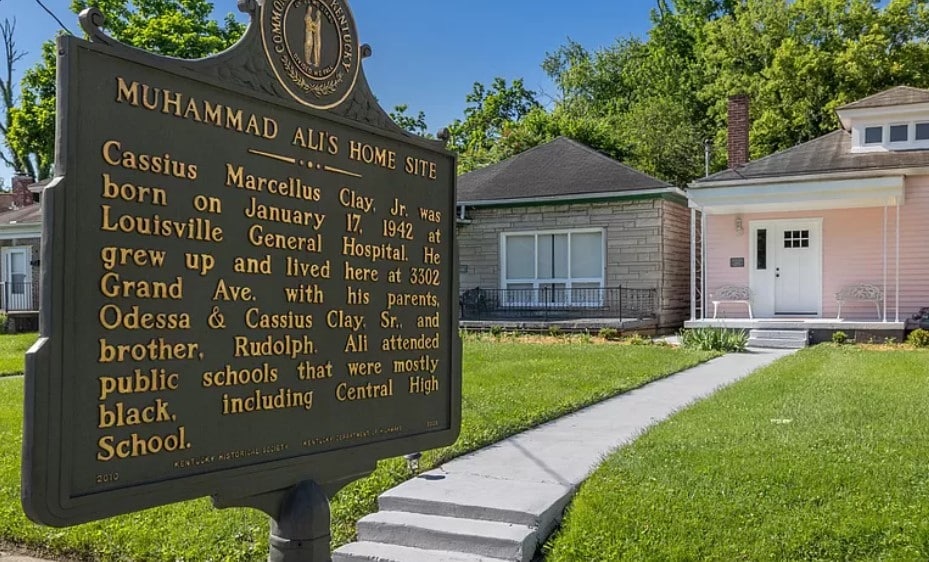 ali home