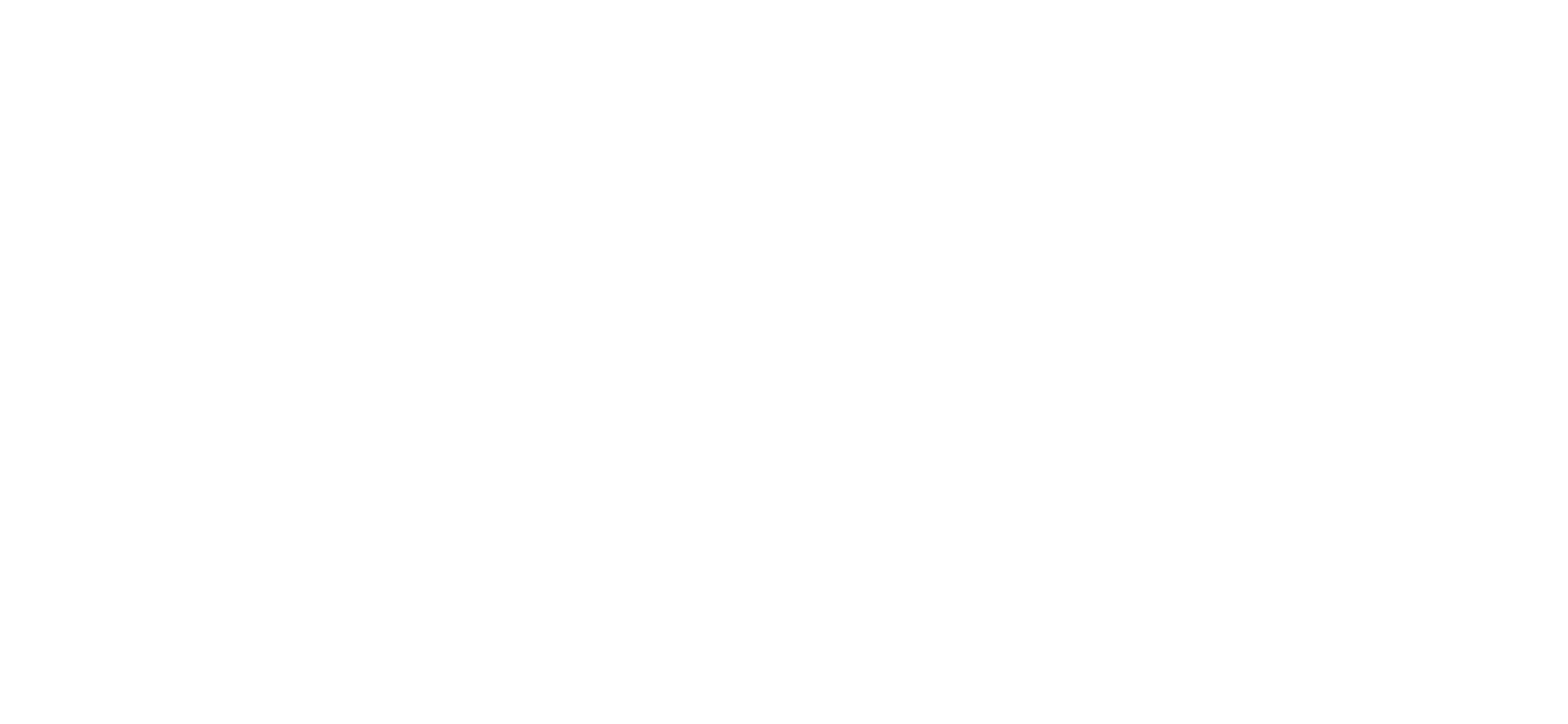 NEXA100-Official-Logo