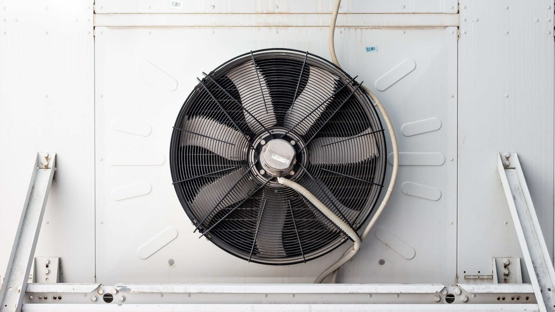 fan-7662133_1920