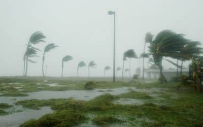Avalon Risk Management Debuts Hurricane Insurance Product