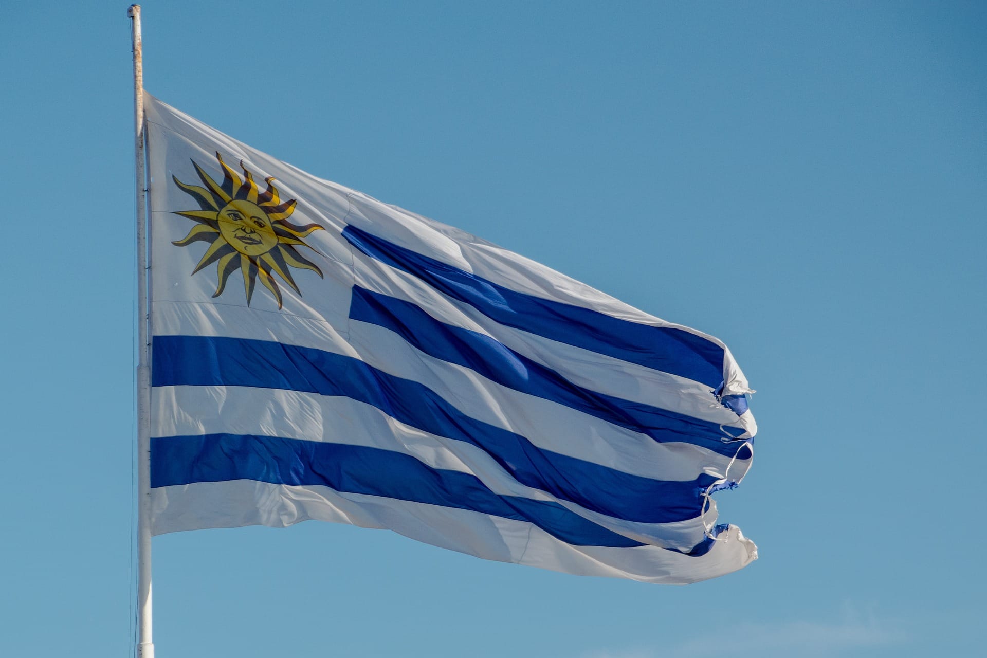 flag-6888497_1920