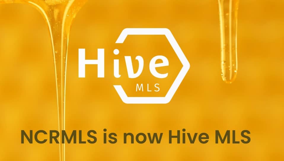hive