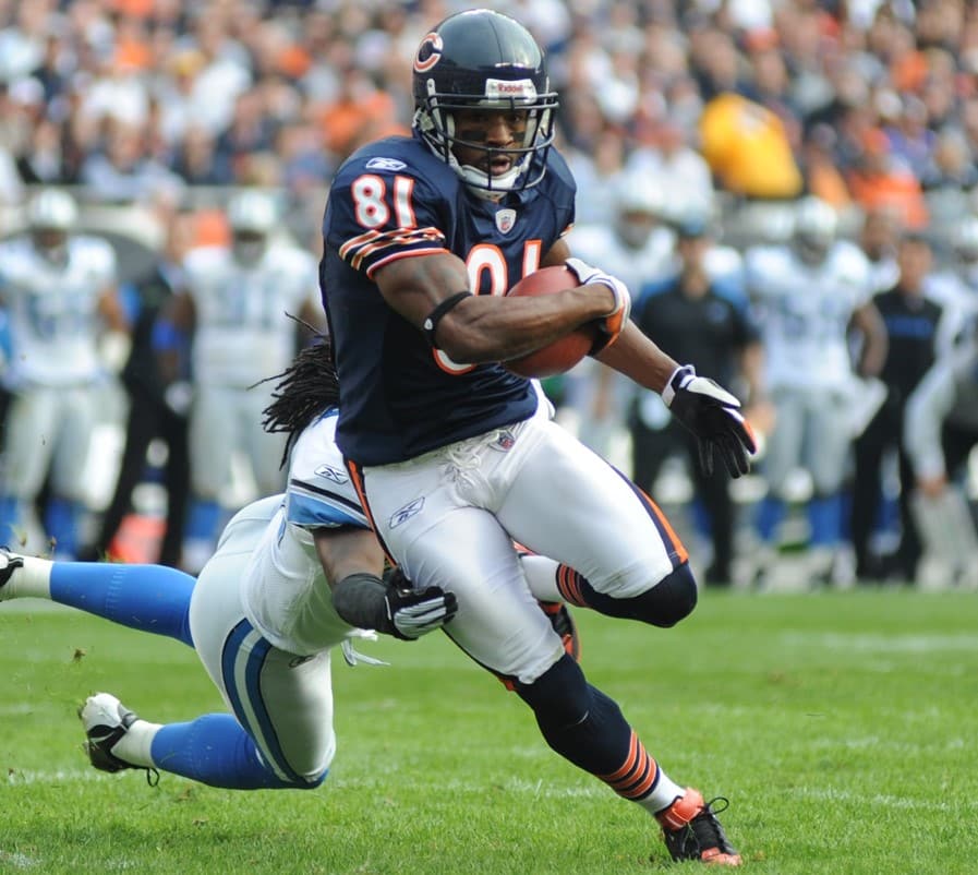 bears