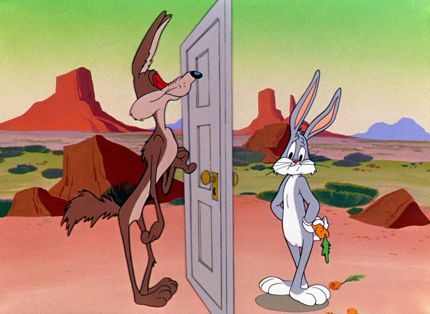 operation rabbit