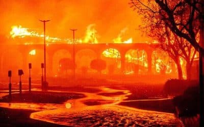 Update: Death Toll in Los Angeles Wildfires Rises to 10; 9,000 Homes Destroyed