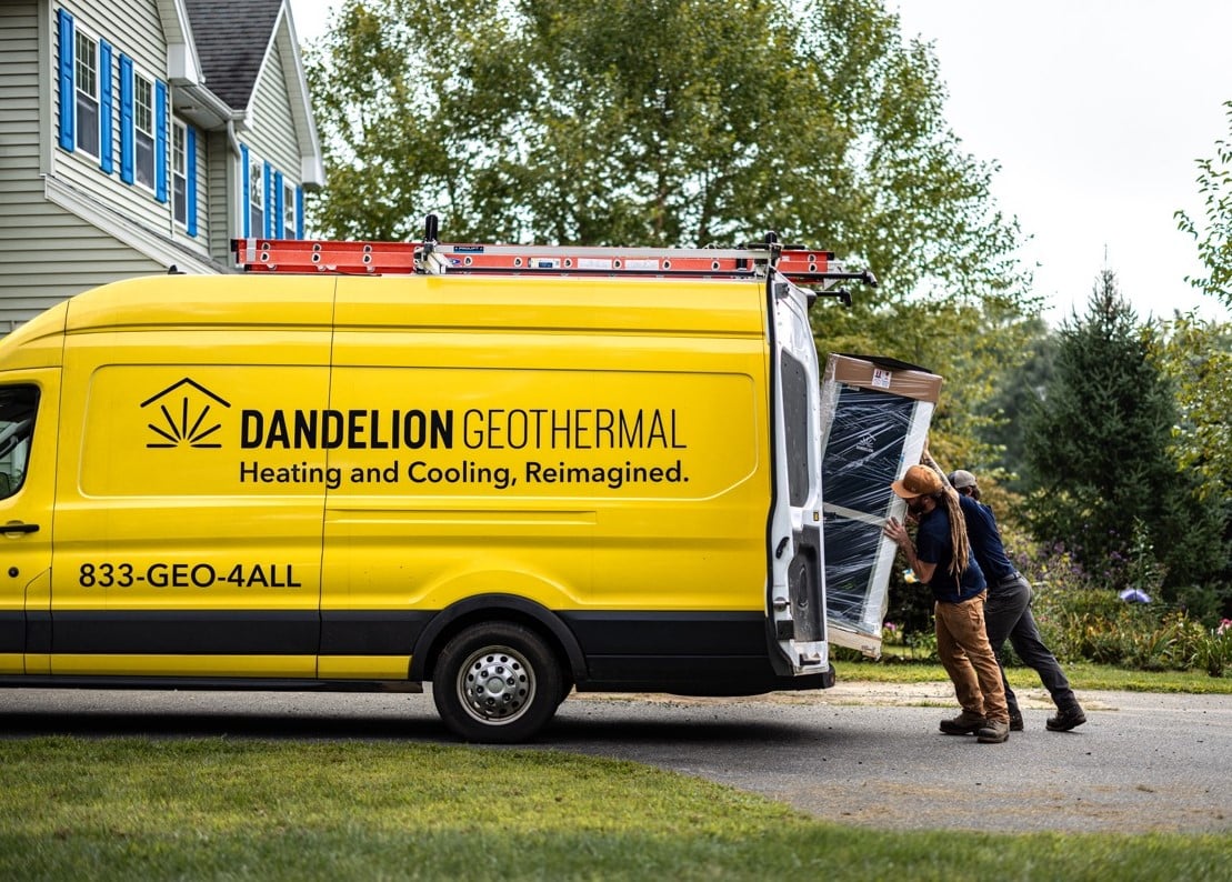 dandelion