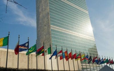 Newmark Represents United Nations in Office Lease Transaction