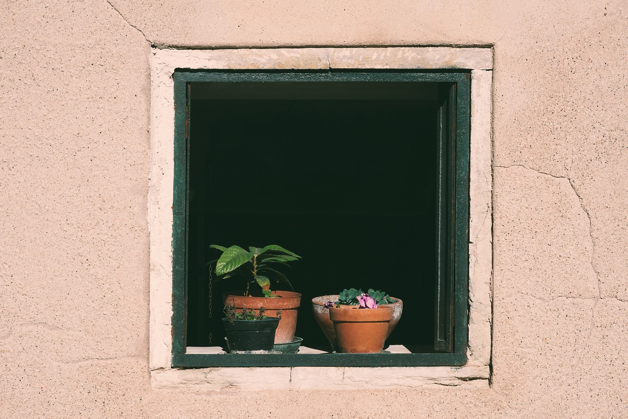 kranich17-window-7209119_1280